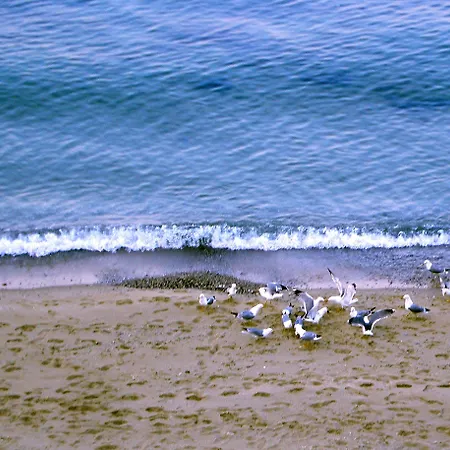 莫尔斯基布里亚格酒店 金沙