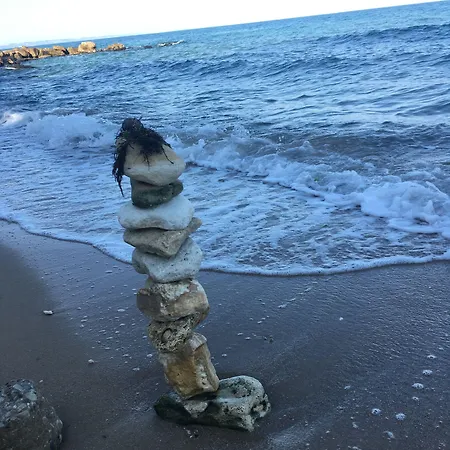 莫尔斯基布里亚格酒店 酒店 金沙