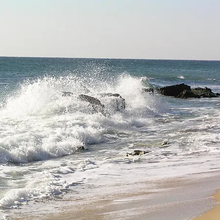莫尔斯基布里亚格酒店 酒店