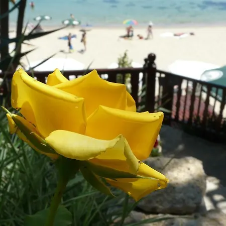 Hotel Morski Briag Zlate písky