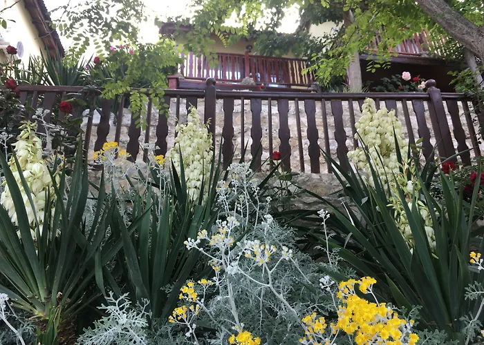 Szálloda Morski Briag